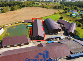 Центральная