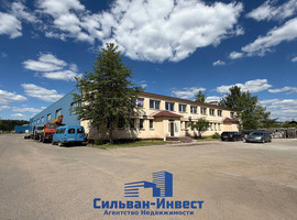 Молокович