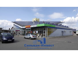 Купалы Янки