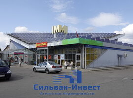 Купалы Янки