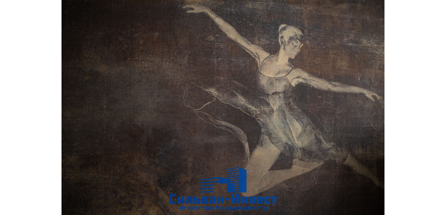 Продажа многофункциональных помещений (арендный бизнес)