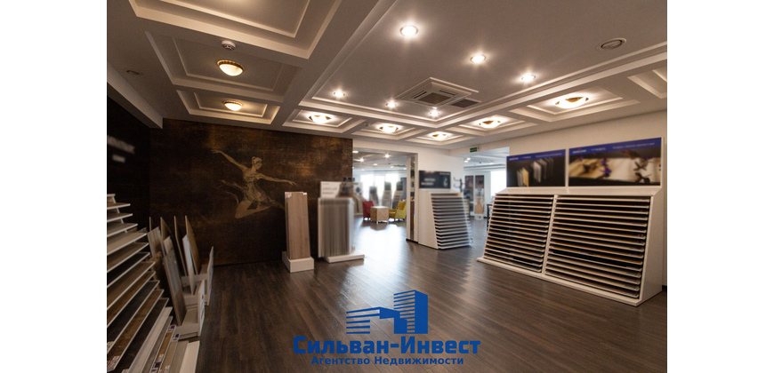 Продажа многофункциональных помещений (действующий арендный бизнес)