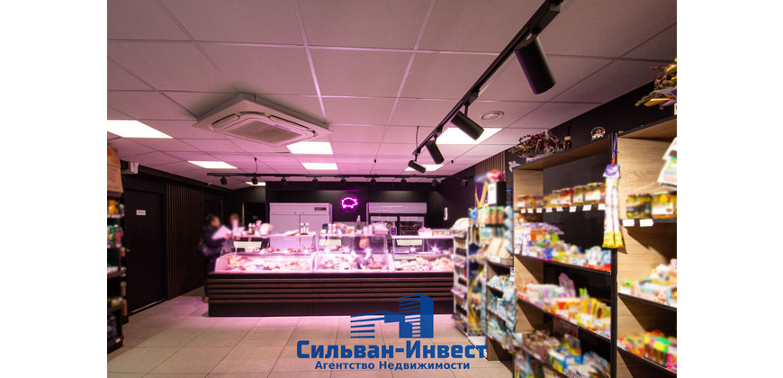 Продажа ПОМЕЩЕНИЙ ПОД МАГАЗИН, СФЕРУ УСЛУГ, ОФИС, ОБЩЕПИТ