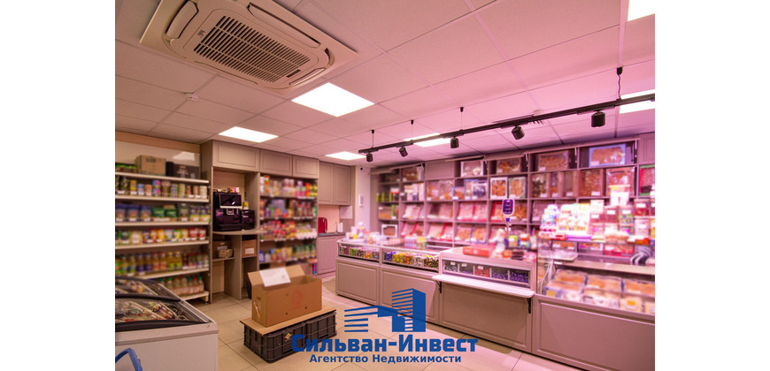 Продажа ПОМЕЩЕНИЙ ПОД МАГАЗИН, СФЕРУ УСЛУГ, ОФИС, ОБЩЕПИТ