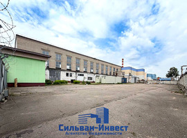 Волгоградская
