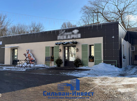 Матусевича