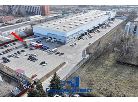 Корженевского