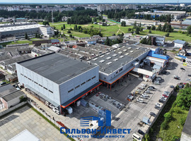 Демина
