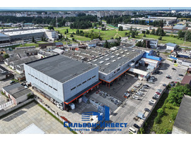 Демина