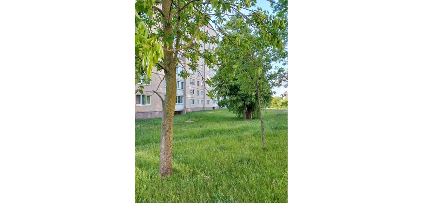 1 комнатная квартира