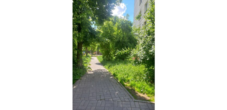 3 комнатная квартира